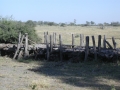 Log bridge 2